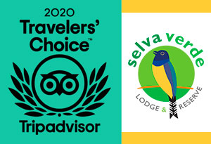 SVL Trip Advisor web th