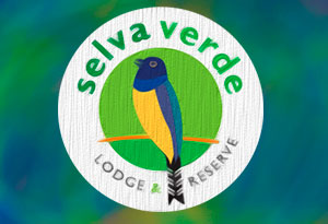 SVL logo art