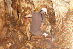 Venado caves Tour from Selva Verde Lodge Image