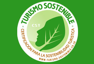 CST-certification-blog Image